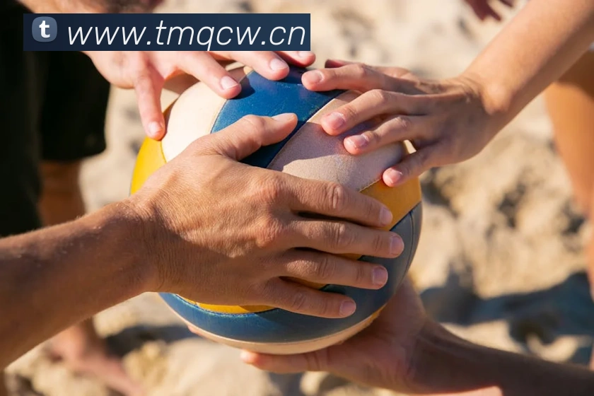 多媒体互动体验